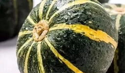 呱呱爆料911吃瓜网站无毒,无毒呱呱爆料，带你走进真实娱乐圈